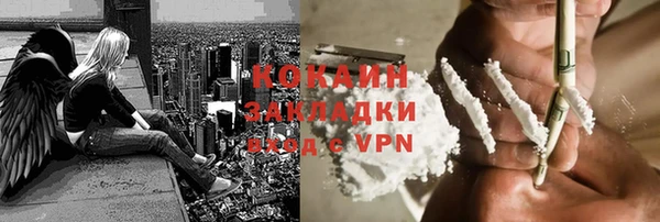 шишки Бердск