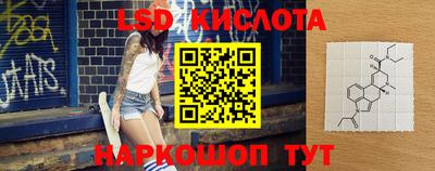 твердый Гатчина