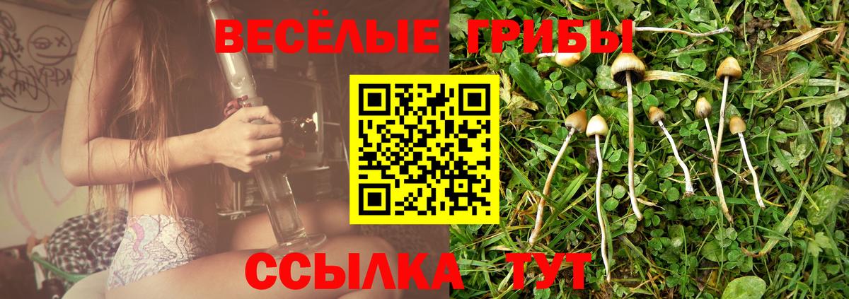 Псилоцибиновые грибы мицелий  Вход с VPN  Псилоцибиновые грибы Cubensis  сколько стоит  Камень-на-Оби 